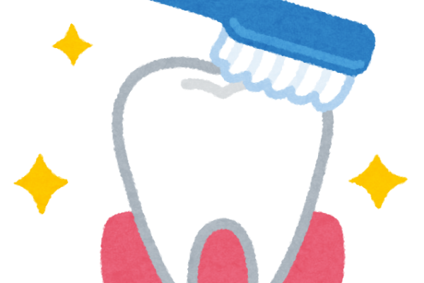 歯の磨き方について