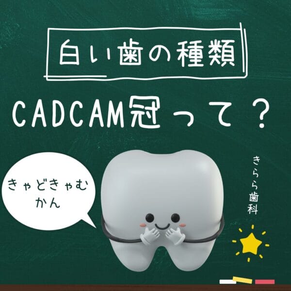 CADCAM冠　歯の種類