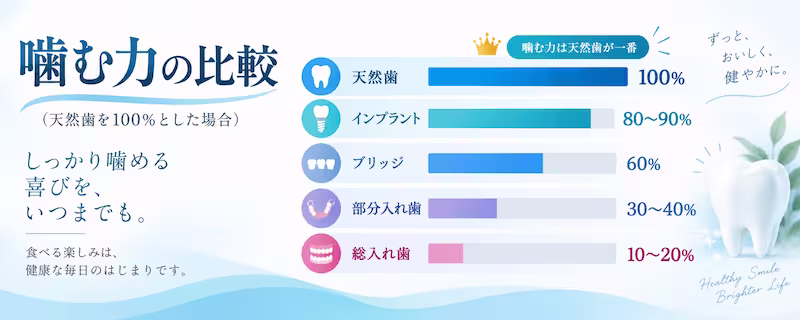 かむ力の比較